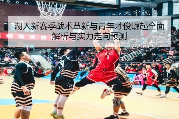 湖人新赛季战术革新与青年才俊崛起全面解析与实力走向预测